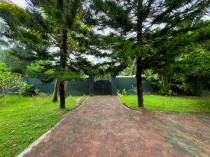 Nimmadi homestay outside area view